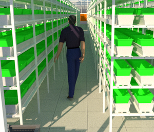 Usa Champignonkas Commerciële Champignonkweekkas 10X30M | Vochtigheidscontrole + Ventilatiesysteem - Product Image 2