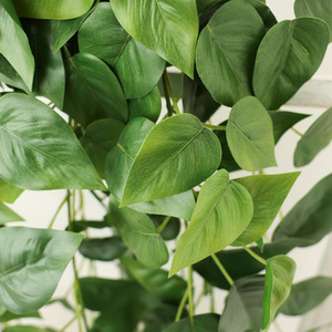 Hua Qianyun Artificial Green Ivy Vine 100cm-200cm Indoor <b>Wall</b> Hanging Plant <b>Decoration</b> Eco-Friendly Plastic Silk Flower - Product Image 2