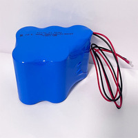 Pack de batteries au chlorure de thionyle de lithium primaire BELICELL LiSoCl2 ER34615 95Ah 3.6V haute performance pour appareils électroménagers IoT LoRa