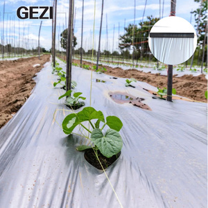 Film de paillage agricole en polypropylène (PP) non tissé biodégradable, <span class=keywords><strong>anti</strong></span>-roussissement, avec trous, noir, pour l'agriculture - Product Image 1