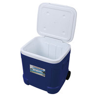 Portable camping en plein air PP PE PU soufflage congélateur de voiture 55l poignée en plastique chariot à glace glacière avec roues