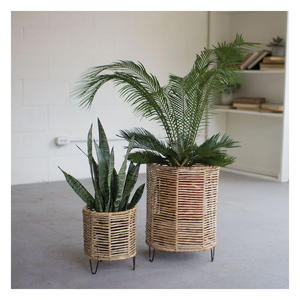 Venta caliente 2025 naturaleza elegante verde maceta colección tejida a mano gran ratán artesanal para decoración del hogar Aplicación de jardín - Product Image 1