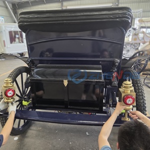 Sightseeing Carriage Special Transportation Leisure Sightseeing Carriage Special Custom Luxury Custom Carriage - Product Image 3