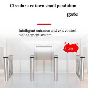 Puerta batiente pequeña en la ciudad de Yuancha - Product Image 3