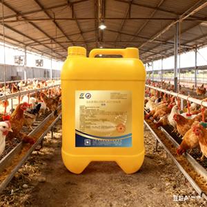 Probióticos especiales para aves de corral, aditivo para piensos, previene la <span class=keywords><strong>diarrea</strong></span>, mejora el rendimiento productivo para pollos, patos y gansos. - Product Image 6