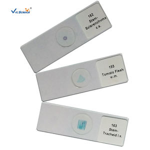 Portaobjetos de Botánica, Portaobjetos de Biología, Portaobjetos de <span class=keywords><strong>Microscopio</strong></span> de Botánica, Epidermis de Bulbo de <span class=keywords><strong>Cebolla</strong></span> - Product Image 1