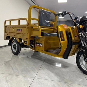 Tricycle Électrique 1500W de Fabrication Chinoise, Batterie au Plomb 60V 32AH 45AH 52AH 58AH, Tricycle Motorisé de Transport, Options de Puissance 1000W 800W - Product Image 5