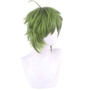 Peluca Sintética Verde de 30 cm de Ainizi, Disfraz de Sylphiette de Mushoku Tensei: Reencarnación sin Trabajo - Product Image 3