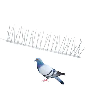 Empêcher les oiseaux Pigeon Sparrow d'atterrir des pointes anti-oiseaux
