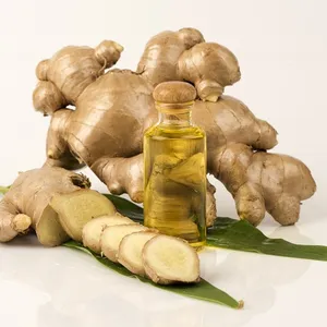 Strength factory machine ginger oil wholesale OEM ginger flavor essential oil wholesale