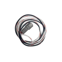 Connettore Automobilistico Impermeabile AMP DT04-2P a 2 Pin per Collegamento Scheda di Controllo Veicoli Elettrici