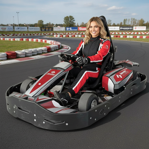 Kart à essence pour adultes de 270 cm3, 5,3 L d'essence, utilisation commerciale, haute performance, course de dérive, karting en plein air - Product Image 1