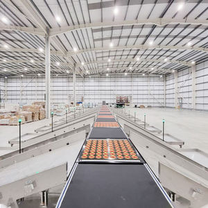 Transportador industrial de máquina clasificadora de sistema DWS de alta calidad para clasificación de paquetes en logística - Product Image 2