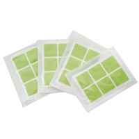 Vente en gros Patch d'huile essentielle parfumé à l'oignon non tissé rafraîchissant pour éviter les piqûres Patch d'huile essentielle pour l'été