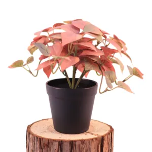 Commercio all'ingrosso mini finto piante in vaso disposizioni in vaso cactus piante artificiali per la decorazione interna