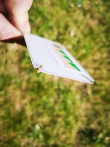 Enlève les tiques compactes en plastique de la taille d'une carte de crédit avec loupe Caractéristique écologique Enveloppe imprimée avec logo personnalisable - Product Image 3