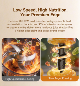 Fast 3-day Shipping Horizontal Cold <b>Press</b> 98% Yield High Purity <b>Fruit</b> Silent Motor Slow Juicer Machine - Product Image 2