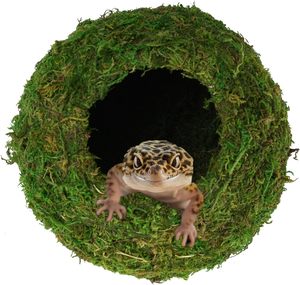 Échantillon gratuit Cachette de coin de mousse pour <span class=keywords><strong>reptiles</strong></span> et amphibiens des bois Cachette respirante pour petits animaux - Product Image 1