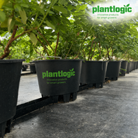 Pot Bunga Plastik Bulat Merah Coklat dengan Lubang Drainase untuk Dekorasi Rumah Luar Ruangan dan Dalam Ruangan, Penanaman Bibit