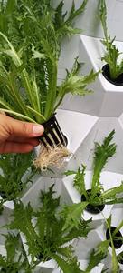 Torre Quente Completa Vertical Hidroponia Torre Jardim Econômico Prático Doméstico 80/96/120 Buraco Hidropônico Torre - Product Image 3