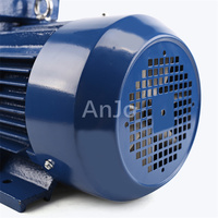 Générateur à Aimants Permanents Triphasé à Flux Axial 5-45 kW avec Vitesse Nominale de 3000 tr/min
