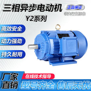 Moteurs asynchrones à courant alternatif à fréquence variable de série Y2, haute puissance, haute tension, 4 kW, 4 phases, cuivre pur, norme nationale - Product Image 3