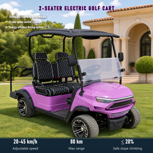 Voiturette de golf électrique tout-terrain 2 places, pneus sous vide de 14 pouces, jantes en alliage d'aluminium pour usage sur gravier, support OEM ODM personnalisé - Product Image 1