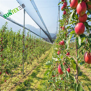 Vignoble Pommier Verger Protection PE Leno Tissage Filet Anti-grêle Serre HDPE Plastique Filet <span class=keywords><strong>de</strong></span> Protection contre la grêle - Product Image 4