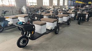 New Model Adult Electric Tricycles 3 Three Wheels Electric <strong>Motorcycle</strong> Bicycles for Passenger <strong>with</strong> <strong>Roof</strong> - Product Image 3