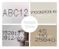 Imprimante jet d'encre grand format industrielle DOD pour le codage de la date de péremption et du numéro de lot sur les emballages en carton