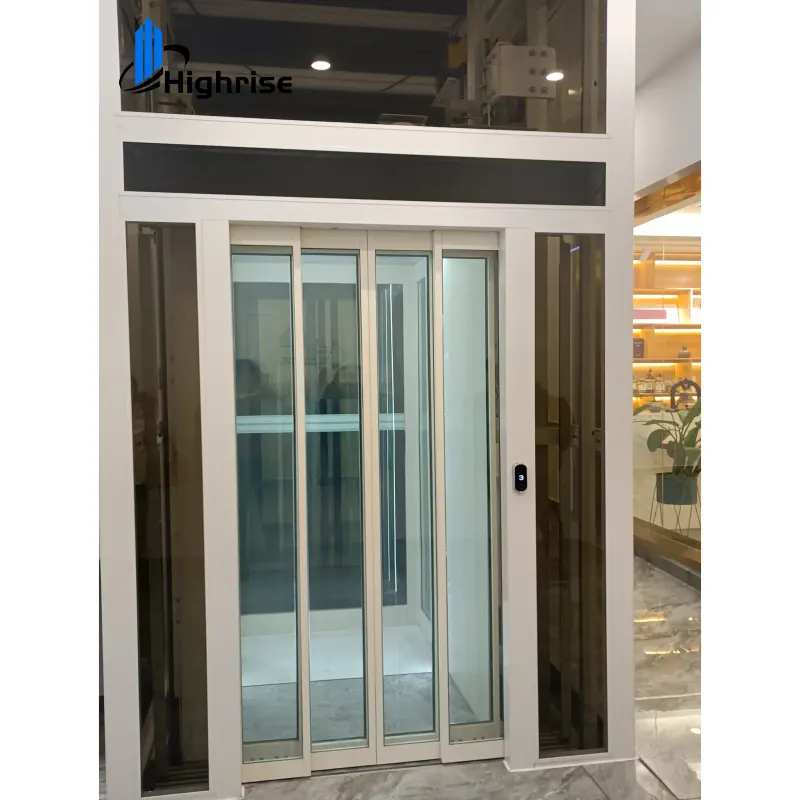 Glass home elevator for masonry shaft/6 person passenger elevator lift/mitsubishi traction lift 1000kg elevator price/