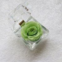 Rose Éternelle Préservée en Gros, Vente Chaude, Cadeau dans Petite Boîte en Cristal pour la Saint-Valentin et Noël