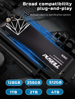 PUSKILL PCIe 3.0 NVMe M.2 SSD 128GB-2TB Internal Solid State Drive Grosir Perdagangan Cina untuk PC Laptop