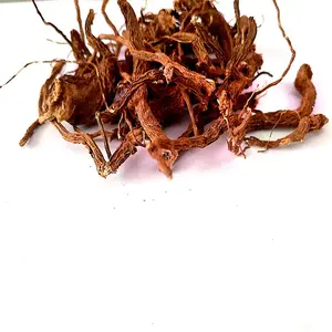 Top Quality Dried Coleus Forskohli Root - Wholesale Price Factory Supply Coleus Barbatus Root