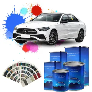 Pintura de coche de alto rendimiento, pintura automotriz, pintura en aerosol de pigmento sólido, coche para reacabado de coche
