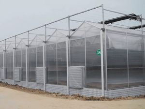 6*4ft Galvanized Steel <b>Frame</b> <b>Large</b> Greenhouse Kit with PC Sheet Cover for Home Garden Yard Landscaping - Product Image 6