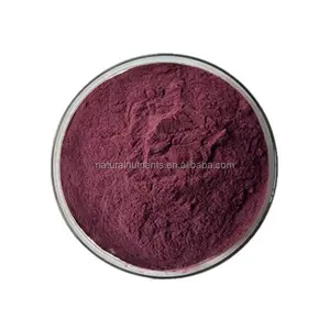 Hot bán Acai Berry Bột acai berry extrac chất chống oxy hóa