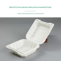 Luxe biologisch afbreekbare, magnetronbestendige PP + calciumcarbonaat wegwerp lunchbox met meerdere inhoud, rechthoekig