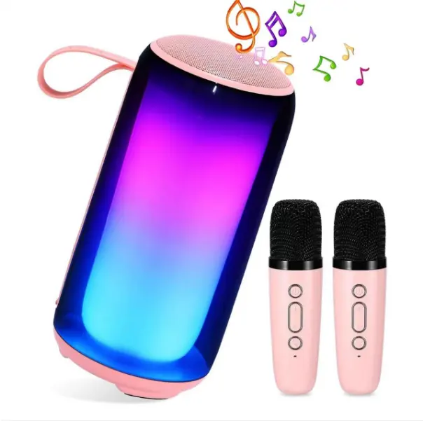 New lớn-có Kích thước hộp âm nhạc, Loa Karaoke Di động với microphone và loa bluetooth với Microphone Đối với trang chủ sử dụng DC 300 Wát