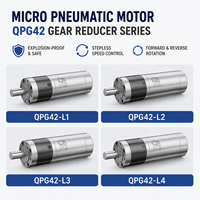 Moteur pneumatique micro QPG42 42 mm avec boîte de vitesses planétaire, couple élevé, vitesse variable, réversible pour l'automatisation industrielle