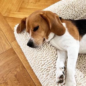 Maßgefertigtes Luxus Hundesofa, Orthopädisches Hundebett aus Memory-Schaum, Große Kuschelige Hundecouch aus Knalligem Stoff - Product Image 3