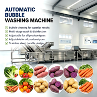 Hoge capaciteit roestvrijstalen food grade volautomatische multifunctionele groente- en fruitbelwasmachine pomp hoog