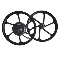 Moteur de moyeu à engrenages sans balais 16 pouces 36V 48V 250W pour vélo électrique, en alliage d'aluminium, avec roue avant