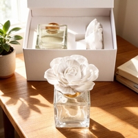 Diffuseur de parfum d'ambiance artisanal en céramique et porcelaine, flacon en verre de 100 ml, pour huiles essentielles et arômes, avec bâtonnets diffuseurs