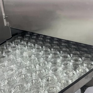 معدات تعقيم فعالة لخط تعبئة مستحضرات التجميل ومنتجات العناية بالبشرة في عبوات زجاجية لكريمات الوجه والسيروم - Product Image 3
