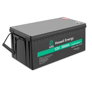 Pin Lithium Ion 12V 300ah Bảo Trì Miễn Phí Cho Xe Điện