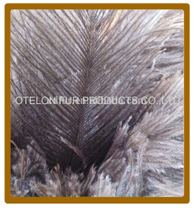 Nouveau design <span class=keywords><strong>meilleur</strong></span> <span class=keywords><strong>prix</strong></span> plumeau d'autruche - Product Image 4