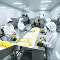 Ligne de production de chips de pommes de terre fraîchement coupées avec chauffage externe au gaz et filtration des impuretés pour la transformation des aliments surgelés