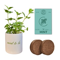 Kit Penanaman Mint Garden Republic Non GMO dengan Pot dan Media Tanam