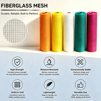 Maille de fibre de verre résistante aux alcalis E-Glass 130g 5*5mm 1m*50m pour plâtre de construction et renforcement de murs – Vente directe usine